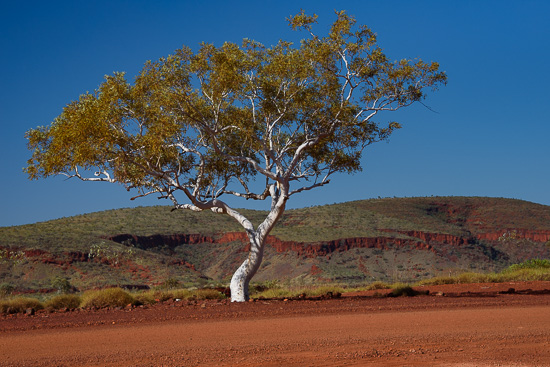 Hamersley