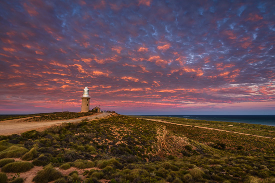 Vlamingh Head Flames