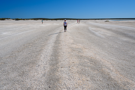 Shell Beach