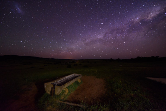 Milk Trough