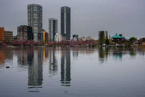 Ueno Reflective