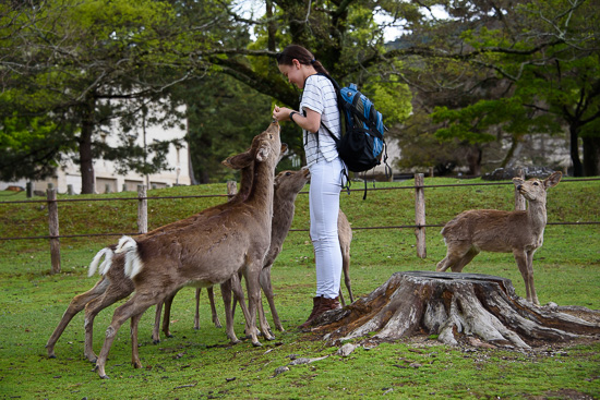 Grazing