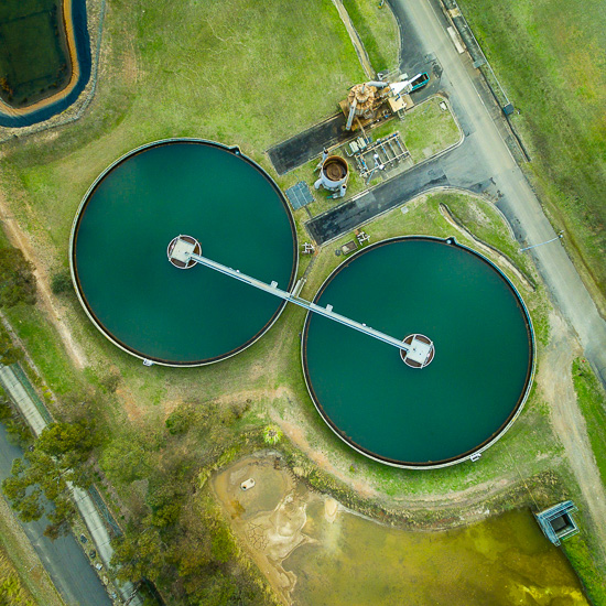 Circles of Green