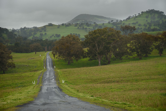 Country Lane - Coolah Tops National Park.