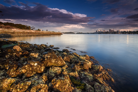 Harbour Views