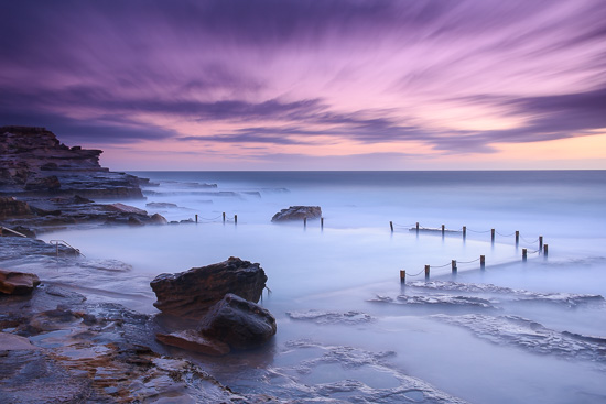 Lavender Sweets - Slow Shutter