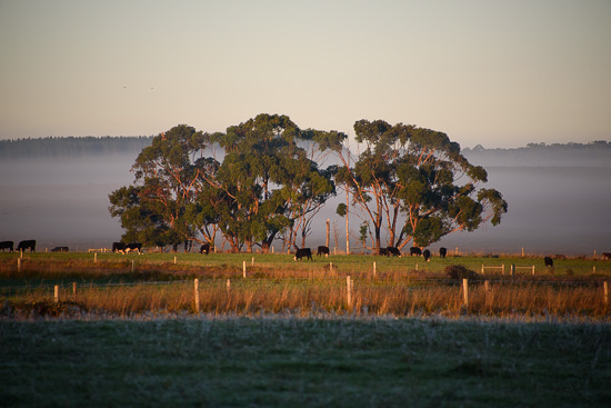 On the Land