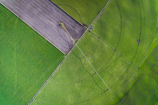 Crop Circles