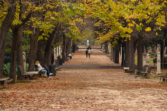 Autumn Avenue