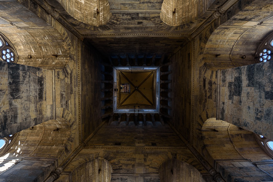 Within the Belltower