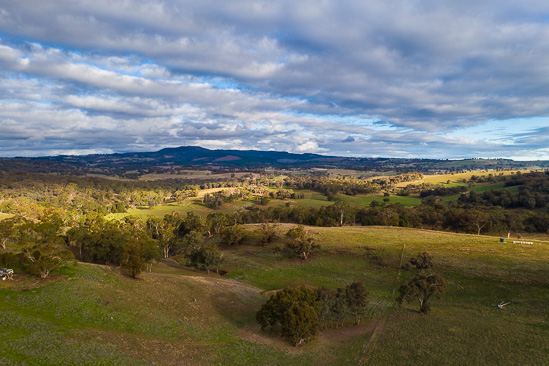 Mt Canobolas