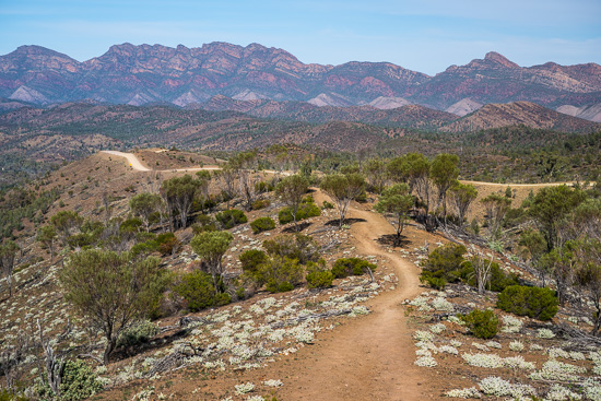 Flinders Ranges