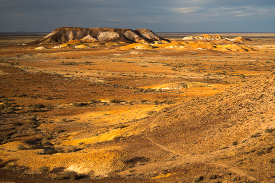 Golden Plateau