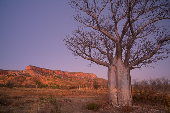 Twilight Glow