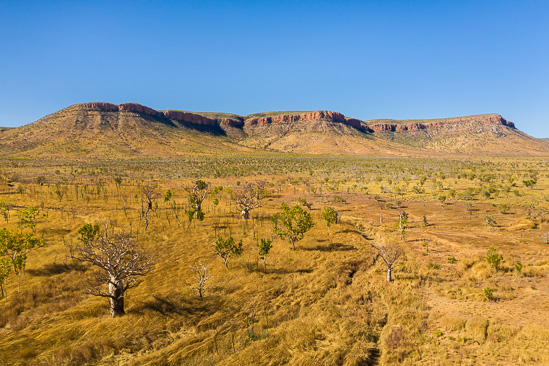 The Boabs and the Range