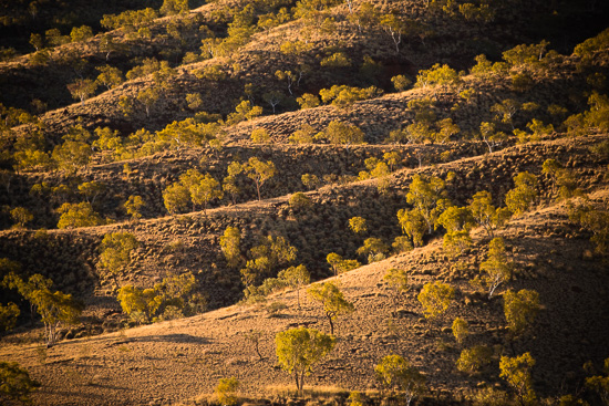 Rolling Hills and Valleys