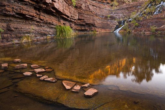 Fortescue Reflect