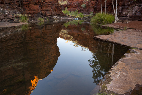 The Mirror