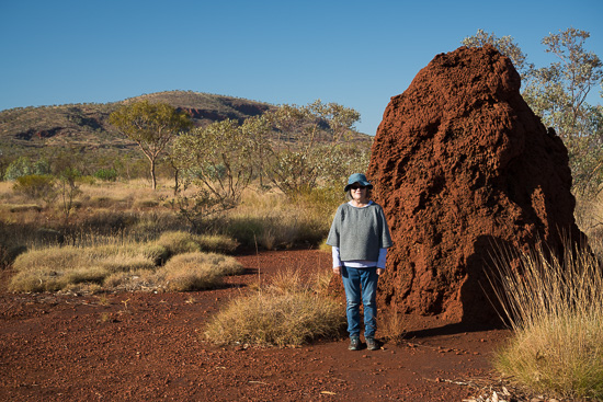 The Anthill