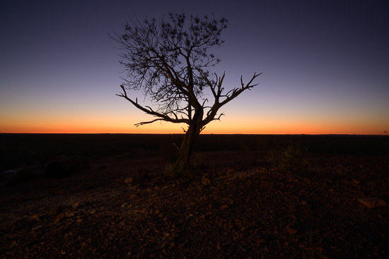 Sunrise View