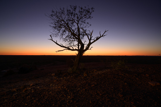 Sunrise View