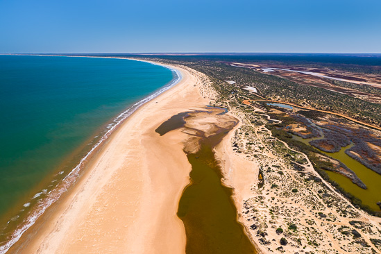 Miaboolya Beach Fish Habitat