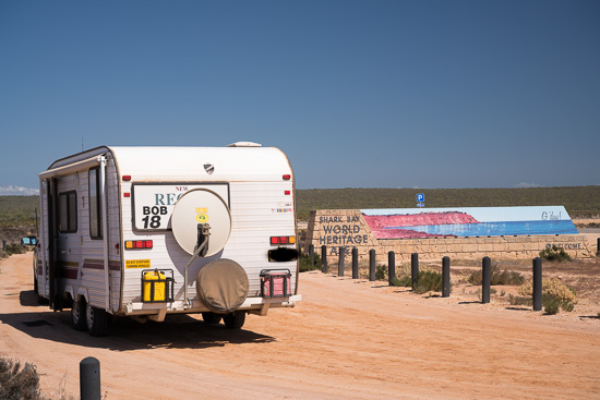 Welcome to Shark Bay