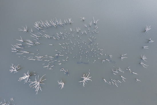 Clustered
