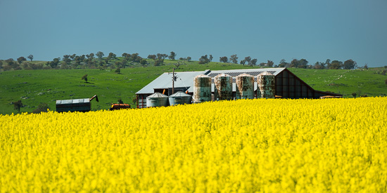 Silos