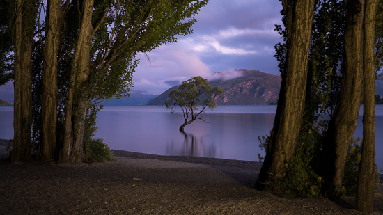 Pre Dawn Wanaka