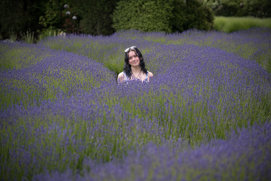 Lavender Curves