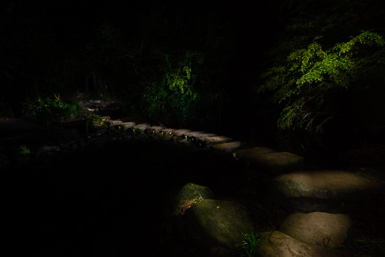 The River Path - Light Painting