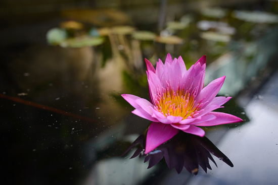 Emerging from the Glass