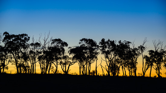 Standing for Sunset