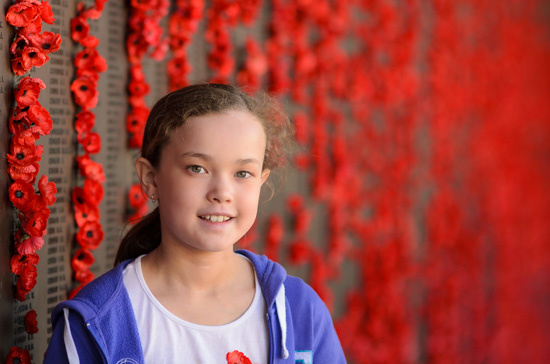 Red Poppies