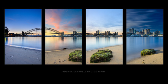 Rising Sydney - A Quadriptych