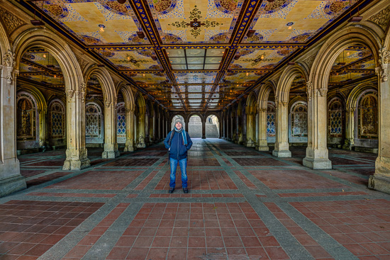 Minton Ceiling