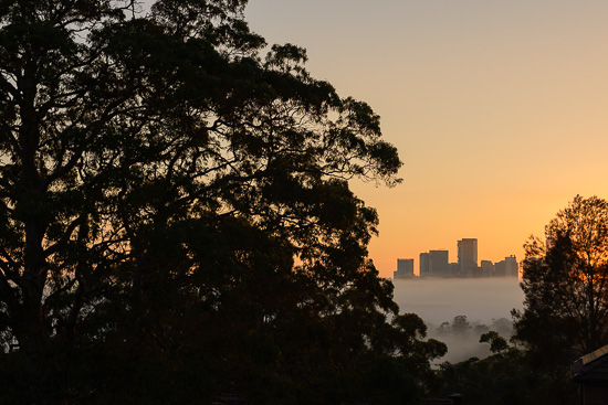 Framed City