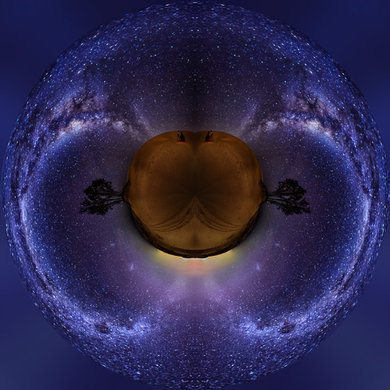 Stellar Moth