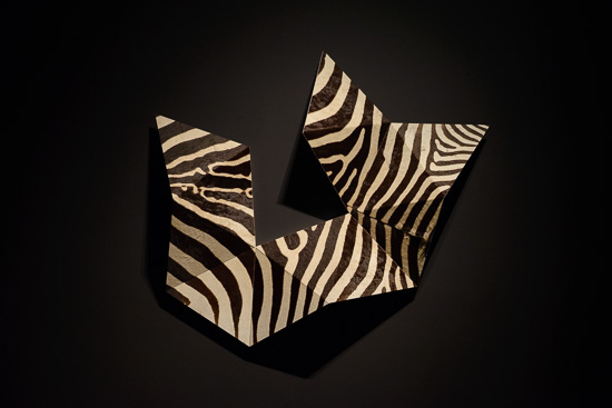 Zebraoidal
