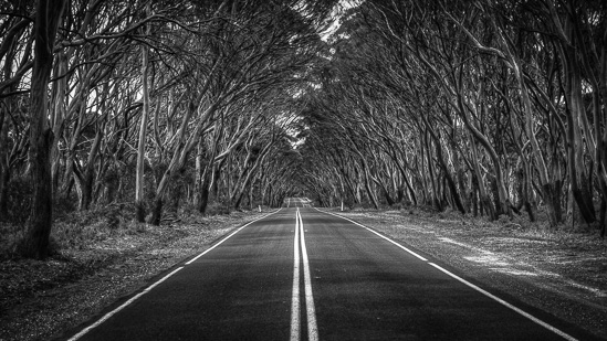 Luminous Tunnel