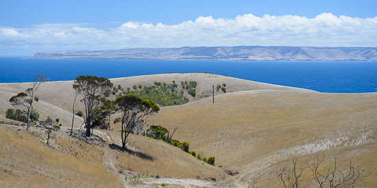 Cape Jervis