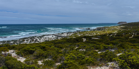 Seal Bay