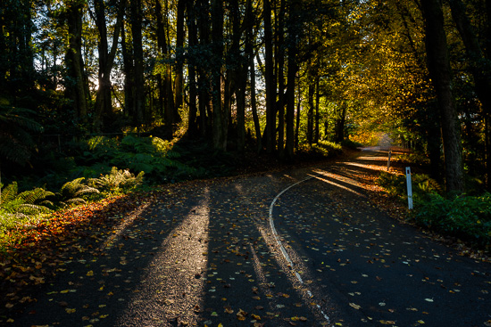 Sweep of Autumn