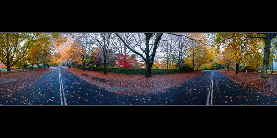 Mt Wilson in Autumn