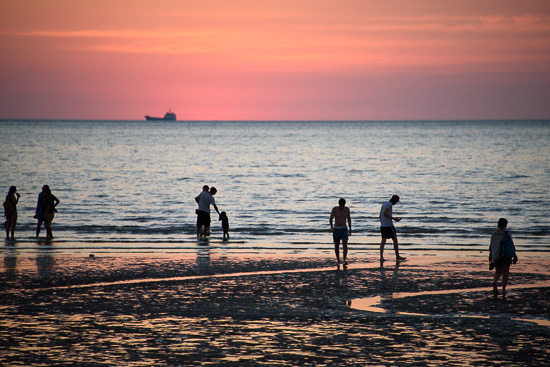 Twilight Beachcombers