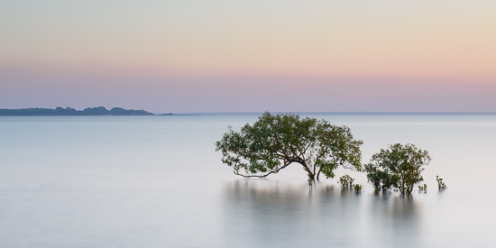 Nightcliff Pastel Paradise