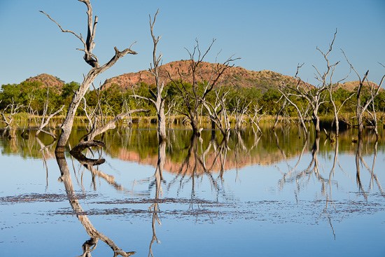 Kununurra Dreams