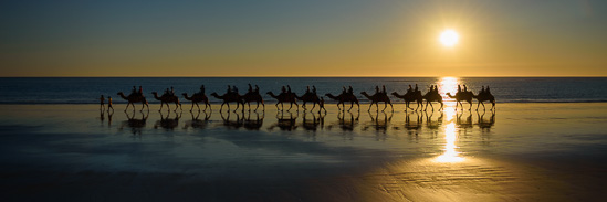 Camels on Cables