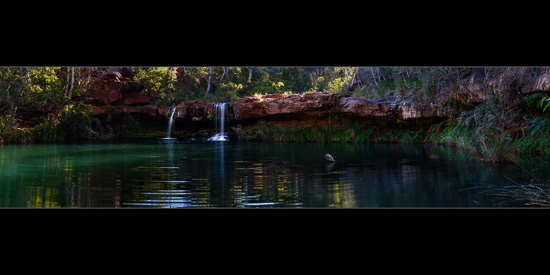 Fern Pool